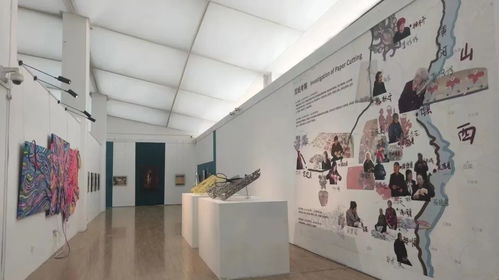 視覺關(guān)注 青春正好,國內(nèi)各大美術(shù)院校畢業(yè)展來襲