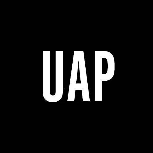 回顧 昆士蘭公共藝術(shù)設(shè)計咨詢公司uap自拍熊貓項目實地考察,共促中澳文化交流新合作