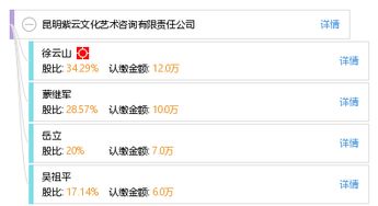 昆明紫云文化藝術咨詢有限責任公司 企業(yè)管理咨詢的專業(yè)服務